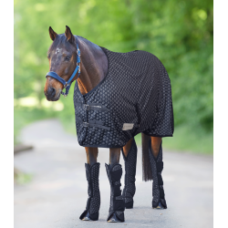 Lucky Heart Turnout Rug