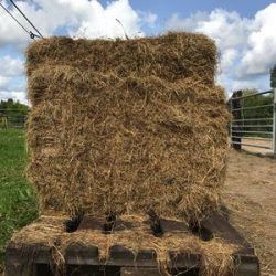 BIO-SIL® INKUILMIDDEL, ZAKJE VOOR 10 HA GRAS - KUILVOER