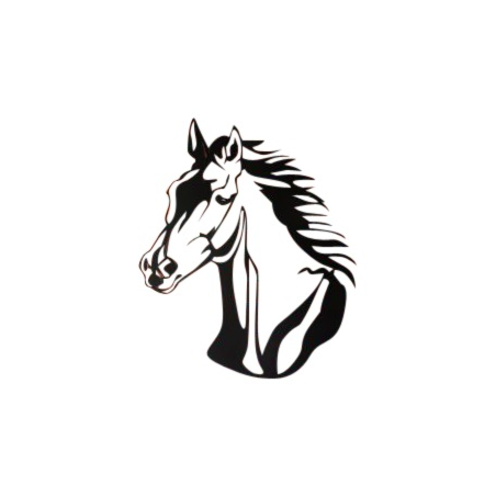Staaldecoratie Paardenhoofd 1