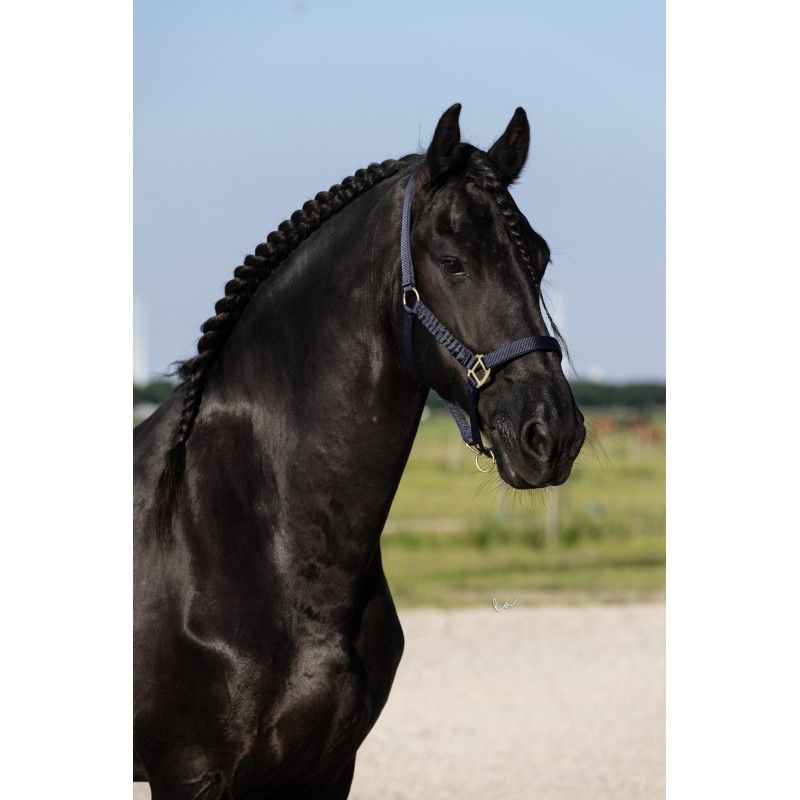 Halster Florence +GRATIS halstertouw