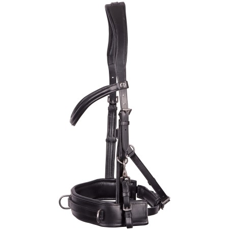 Kaptoom hoofdstel Leder Comfort Kaptoom hoofdstel Leder Comfort
