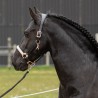 Halster Leder Broadway Halster Leder Broadway
