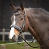 Kaptoom hoofdstel Leder Comfort