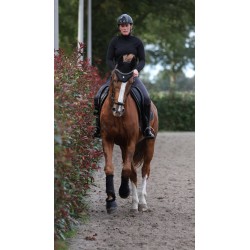 Phoenix springschoenen 'HW2024'