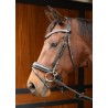 Hoofdstel Allegro