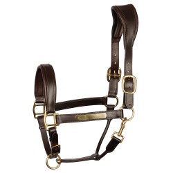Halster Leder Anatomic