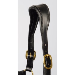 Halster Leder Anatomic