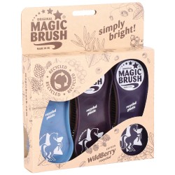 Magic Brush