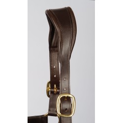 Halster Leder Anatomic
