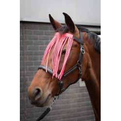 Vliegenfrontriem Colour