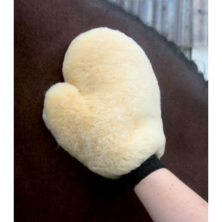 Lambskin Grooming Glove Lambskin Grooming Glove