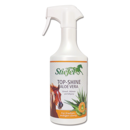 Stiefel TOP SHINE Aloe Vera Stiefel TOP SHINE Aloe Vera