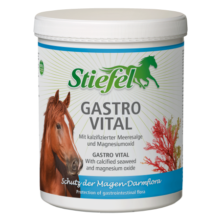 Stiefel Gastro Vital 1kg Stiefel Gastro Vital 1kg