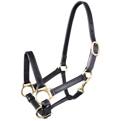 STAR Leather Halter for Foals