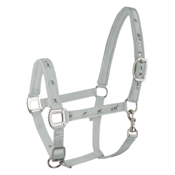 Little Horse Halter