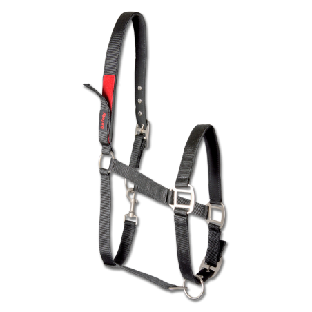 Safety Halter Safety Halter