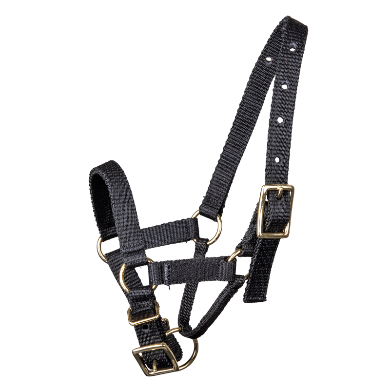 Alpaca Halter