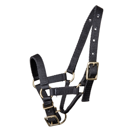 Alpaca Halter Alpaca Halter