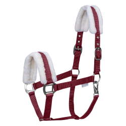 First Halter