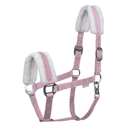 First Halter
