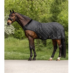 EXCLUSIVE Horsewalker Sheet