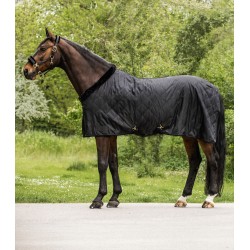 EXCLUSIVE Travel Rug