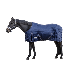 ECONOMIC Stable Rug