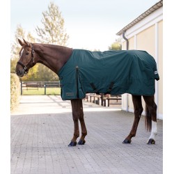 ARCTIC Turnout Rug