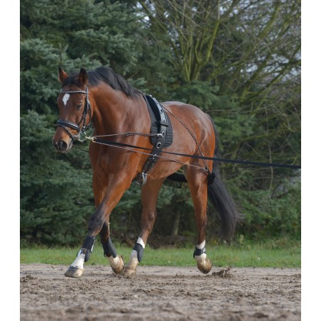 Lunging System Lunging System