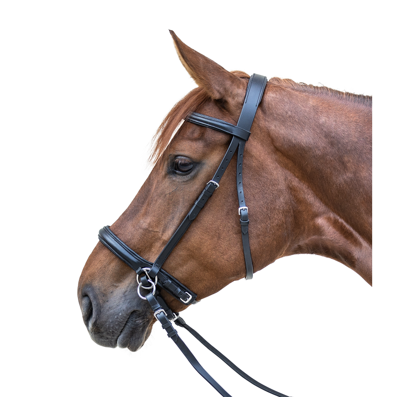 STAR Bitless Bridle