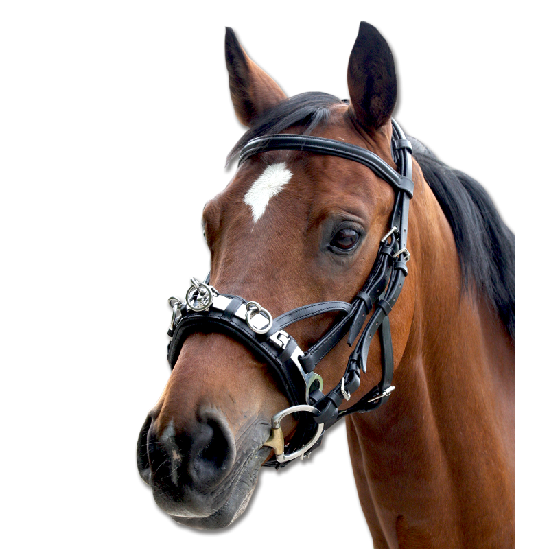Waldhausen Leather Cavesson