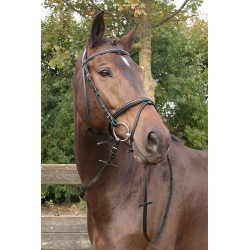 Hoofdstel Bronze