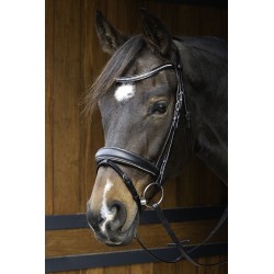 Hoofdstel Petit Crystal