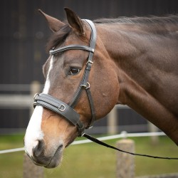 Kaptoom hoofdstel Leder Comfort
