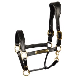 Halster Leder Anatomic