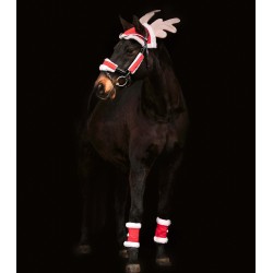 Christmas Set for Horses