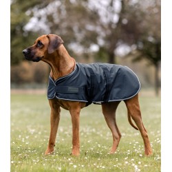 Rain dog blanket