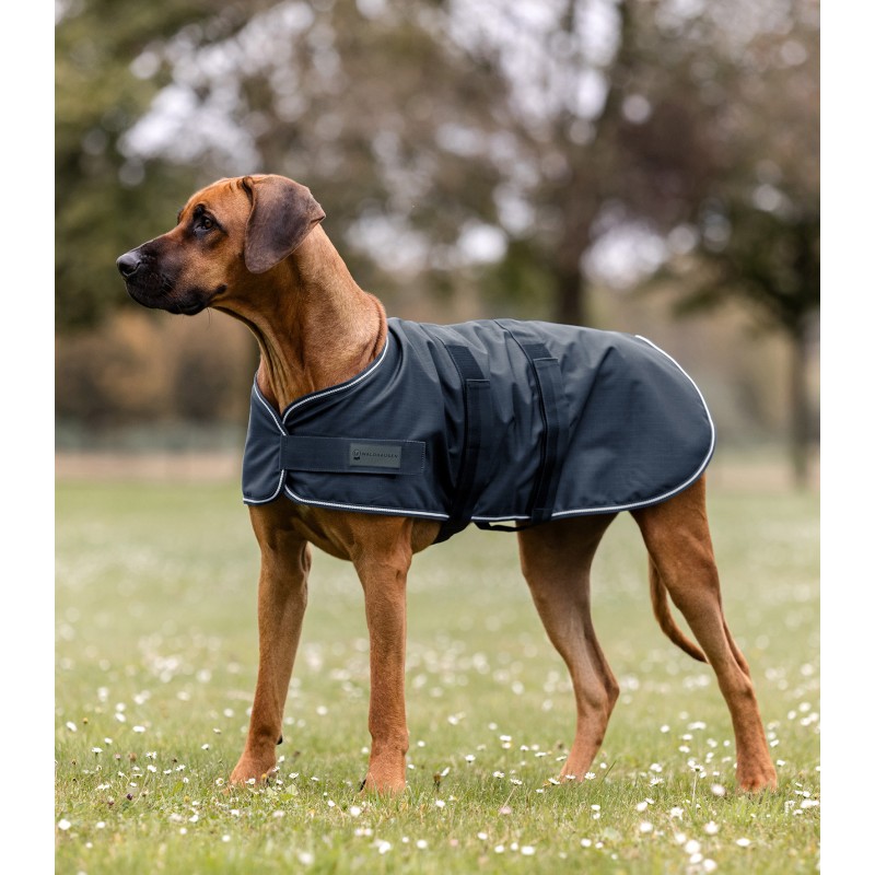 Rain dog blanket
