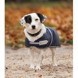 COMFORT Dog Coat