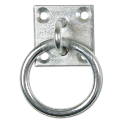 Tie Ring on Wall Plate