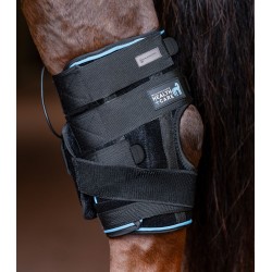 Waldhausen Health & Care hock tendon boot