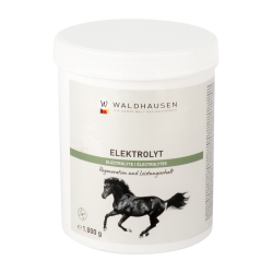 Electrolytes - regeneration and performance maintenance