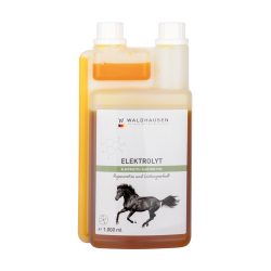 Electrolyte Liquid - regeneration and performance maintenance