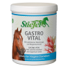 Stiefel Gastro Vital 1kg