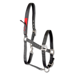 Safety Halter