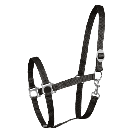 Perlon halter