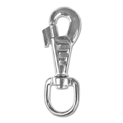Carabiner for lunge