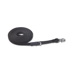 LPO-compliant lunge reins