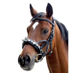 Waldhausen Leather Cavesson