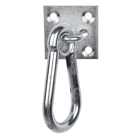 Carabiner Hook on Wall Plate